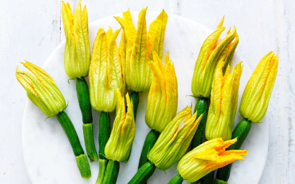 zuoshini flower